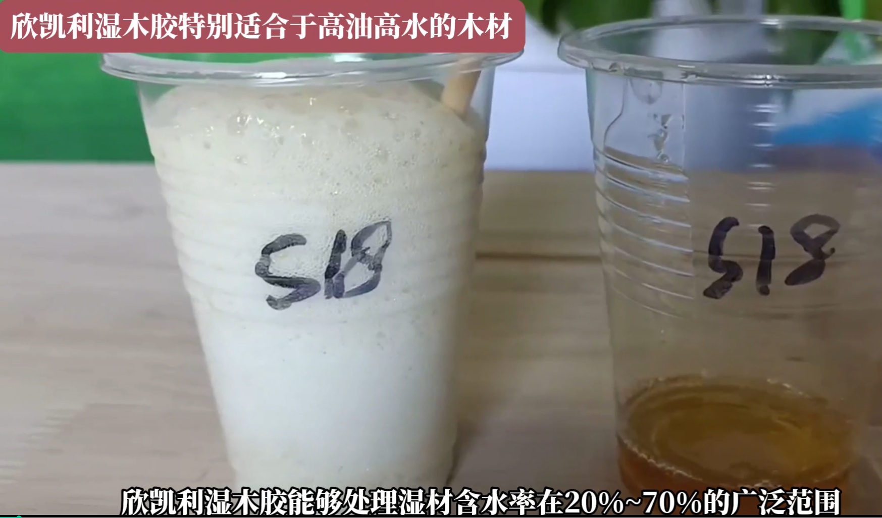 欣凱利濕木膠特別適合于高油高水的木材，快干、快固化