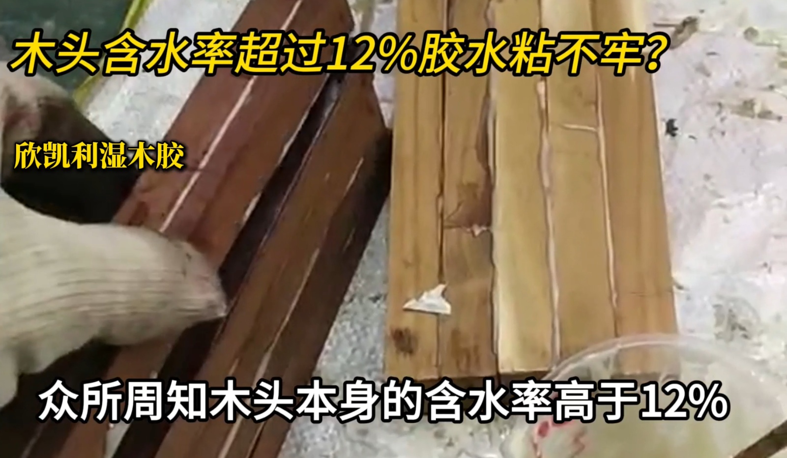 欣凱利濕木膠可用于：橡木、胡桃木、楓木、櫻桃木松木、杉木等木種