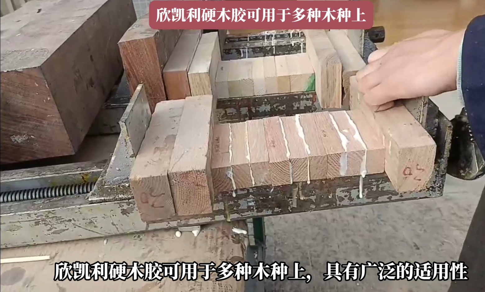 欣凱利硬木膠能夠深入木材裂縫和孔洞，形成牢固的粘接層